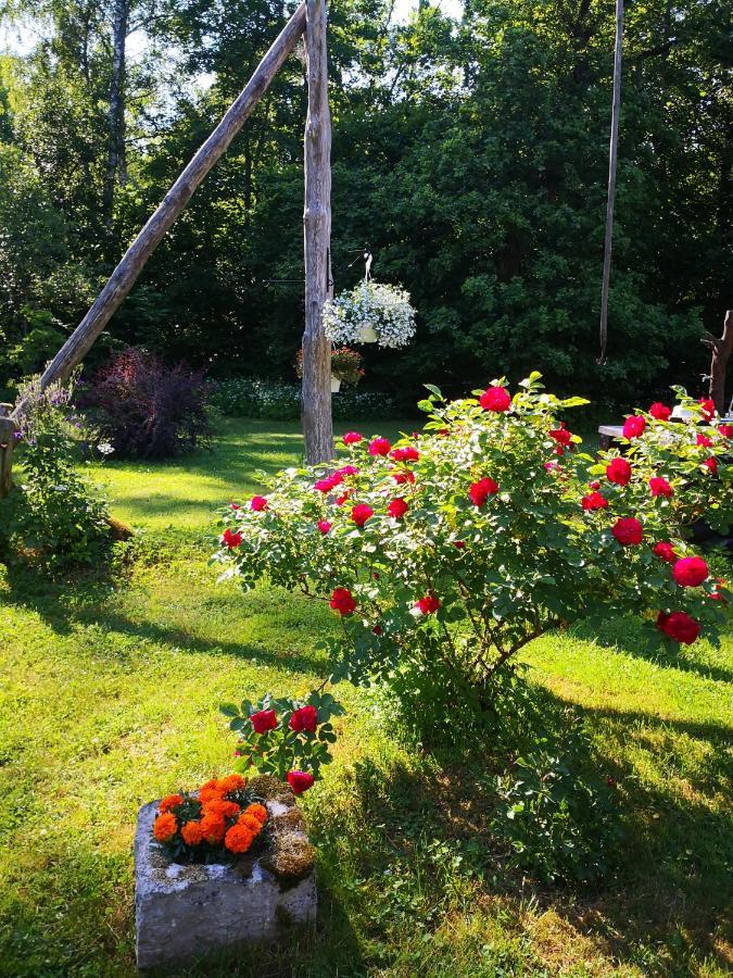 Kotka Farm 호텔 Saarekula 외부 사진