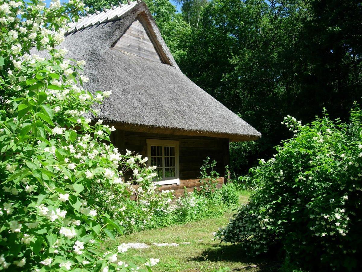 Kotka Farm 호텔 Saarekula 외부 사진