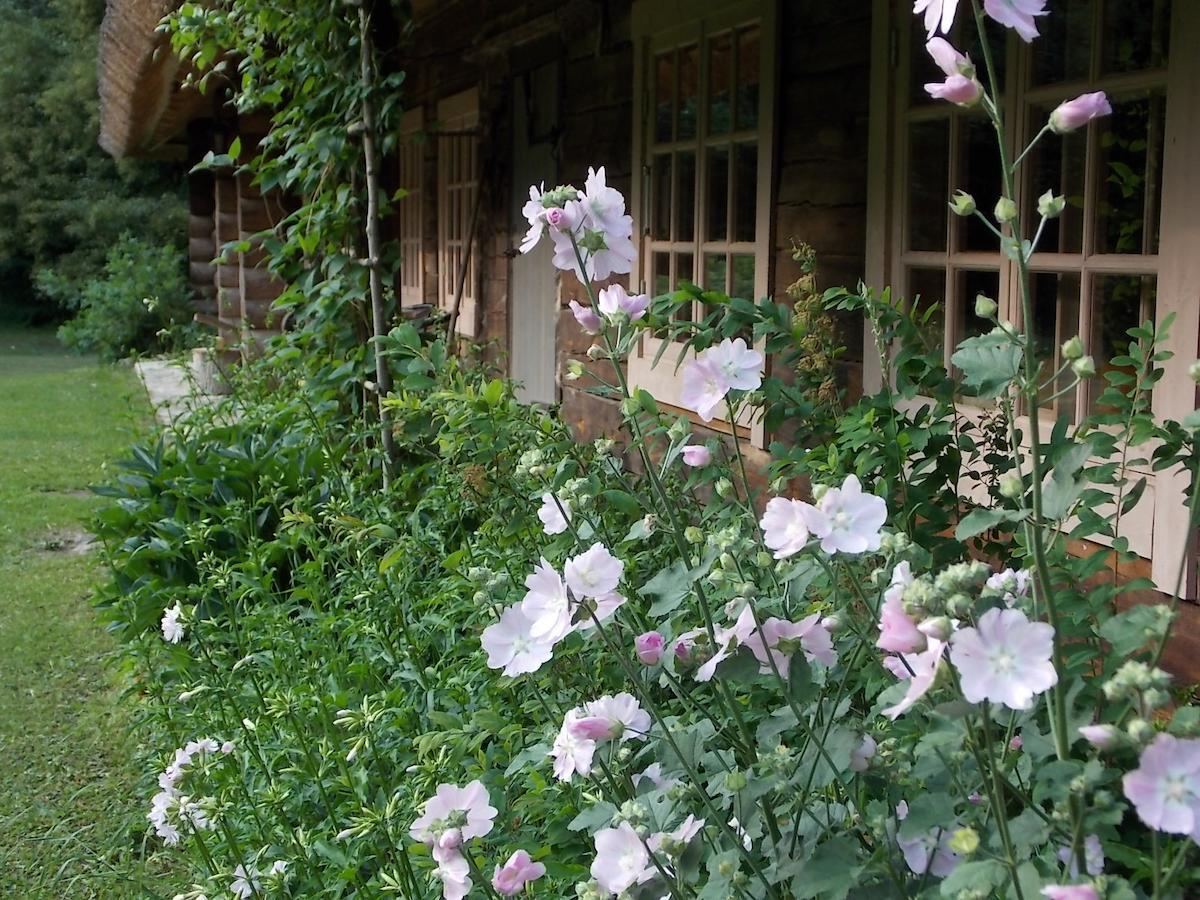 Kotka Farm 호텔 Saarekula 외부 사진