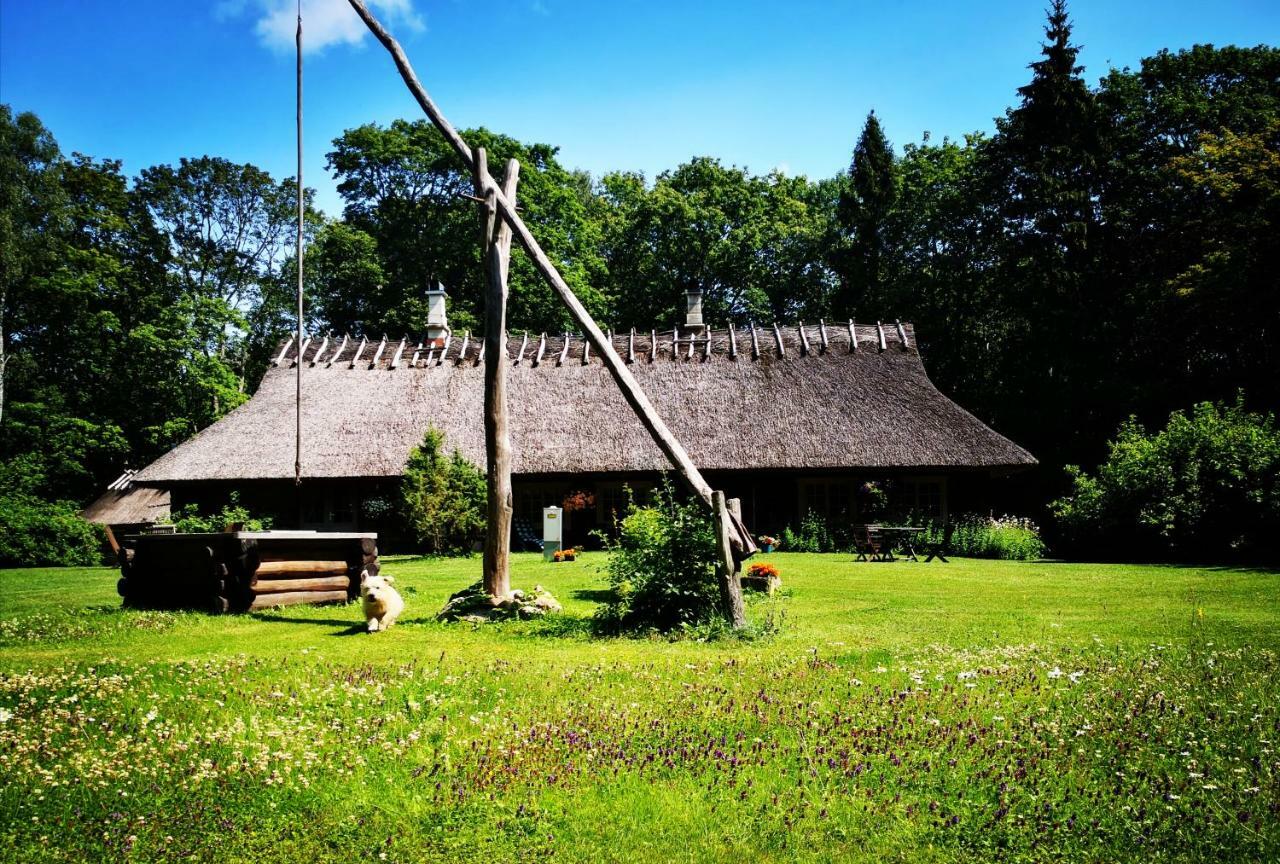 Kotka Farm 호텔 Saarekula 외부 사진